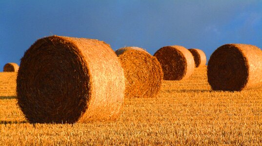 Landscape farmland harvesting