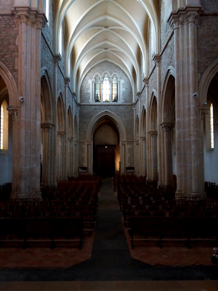 Église_Saint-Didier_de_Saint-Didier-au-Mont-d'Or_-_Nef_vue_depuis_l'autel