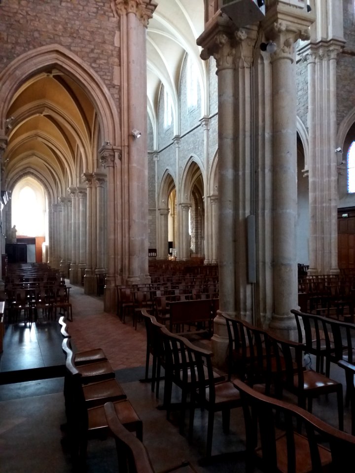 Église_Saint-Didier_de_Saint-Didier-au-Mont-d'Or_-_Vue_sur_les_3_nefs