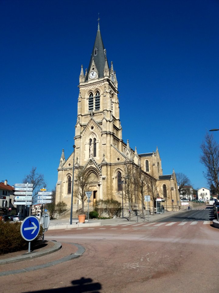 Église_Saint-Didier_de_Saint-Didier-au-Mont-d'Or_-_Vue_d'ensemble