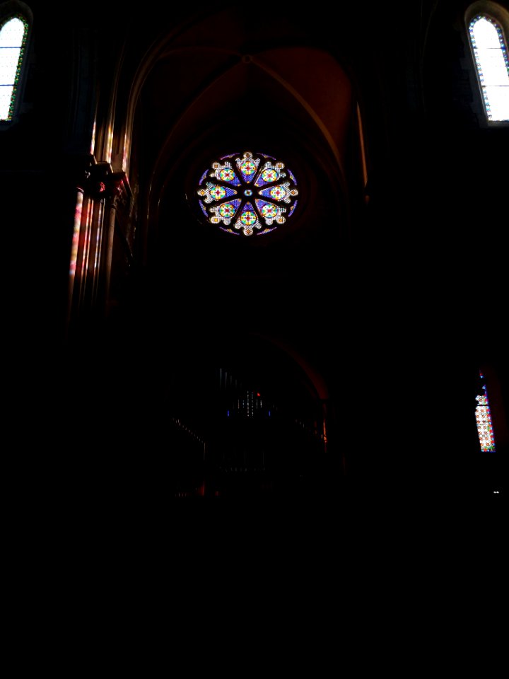 Église_Saint-Didier_de_Saint-Didier-au-Mont-d'Or_-_Rosace