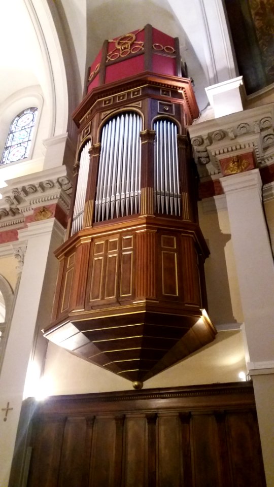 Église_Notre-Dame_Saint-Louis_de_Lyon_-_Orgue_-_Buffet_nord