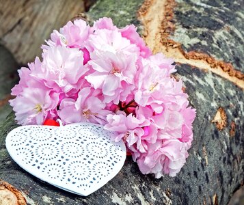 Affection romance nature