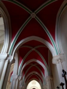 Église_Notre-Dame_de_Bellecombe_de_Lyon_-_Plafond_de_la_nef_latérale_sud
