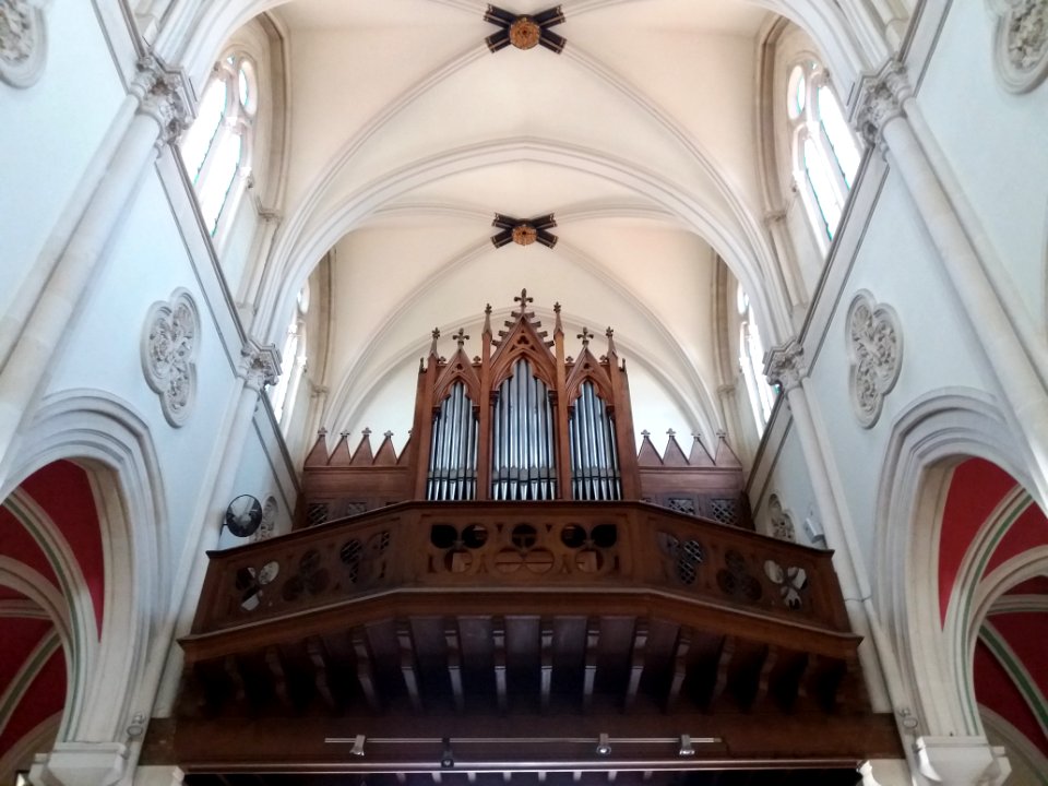 Église_Notre-Dame_de_Bellecombe_de_Lyon_-_Orgue