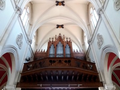 Église_Notre-Dame_de_Bellecombe_de_Lyon_-_Orgue