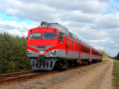 ДР1А-450,_Литва,_Алитусский_уезд,_перегон_Рудишкес_-_Вальнининкай_(Trainpix_146625)