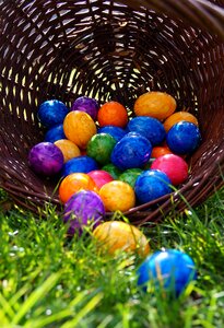 Eggs colors color eggs