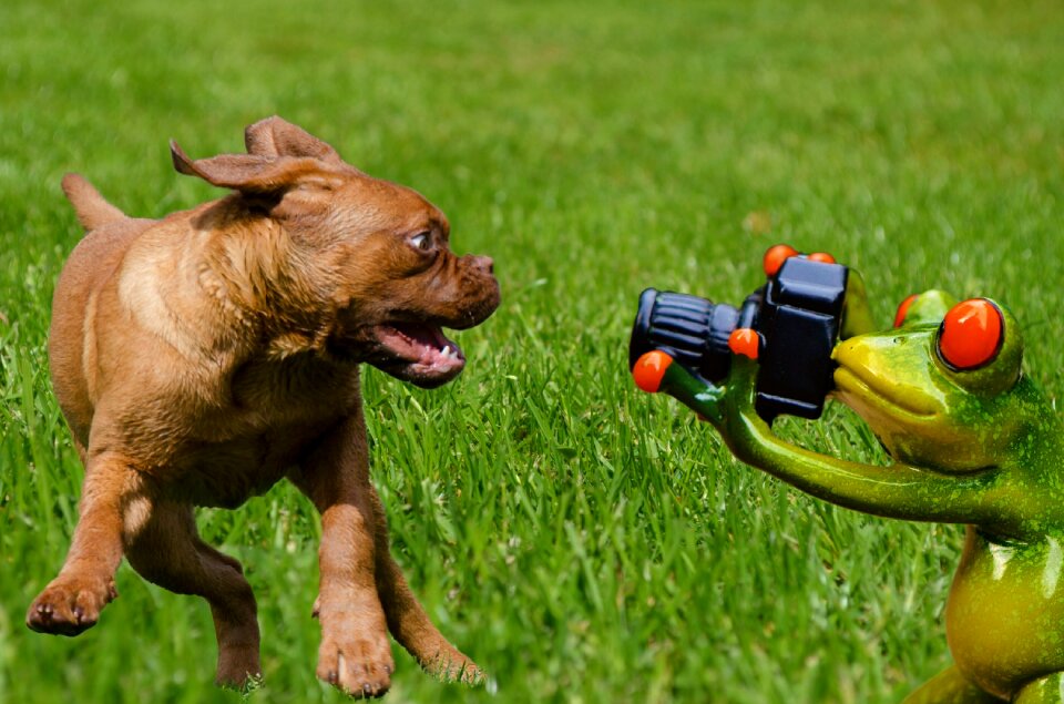 Funny fun photographer