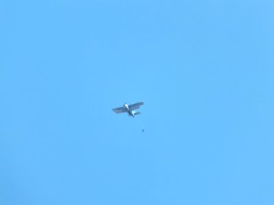 Ан-2_в_Хабаровске_десантирует_парашютистов_ф3