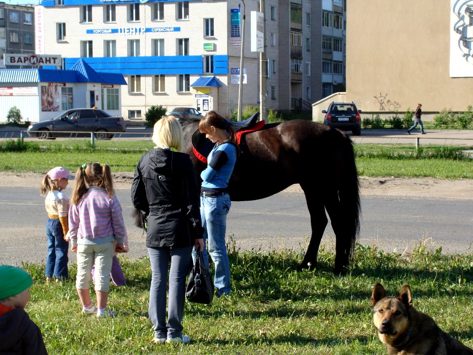 Катание_на_лошади,_Котлас