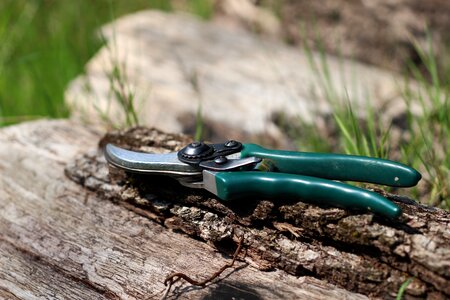 Gardening prune pruning