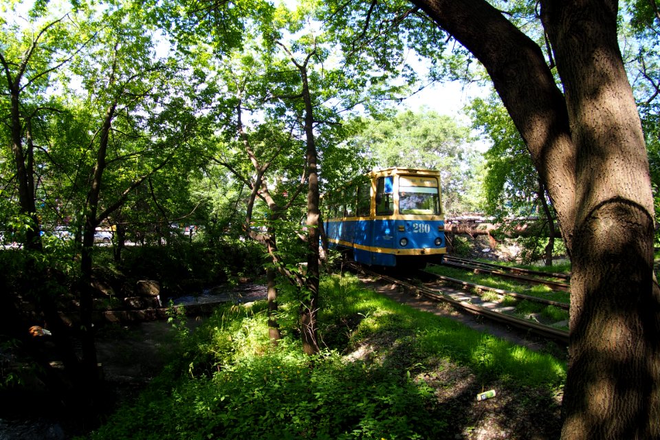 Владивосток_трамвай_280_20180713_022950_325