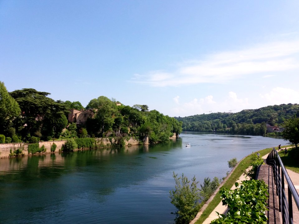 Île_Barbe_et_Saône_-_Côté_Caluire_vers_le_nord