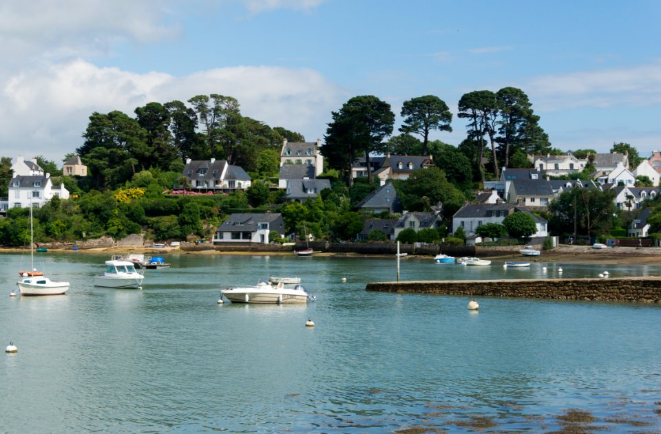Île_aux_Moines_2,_Morbihan,_France