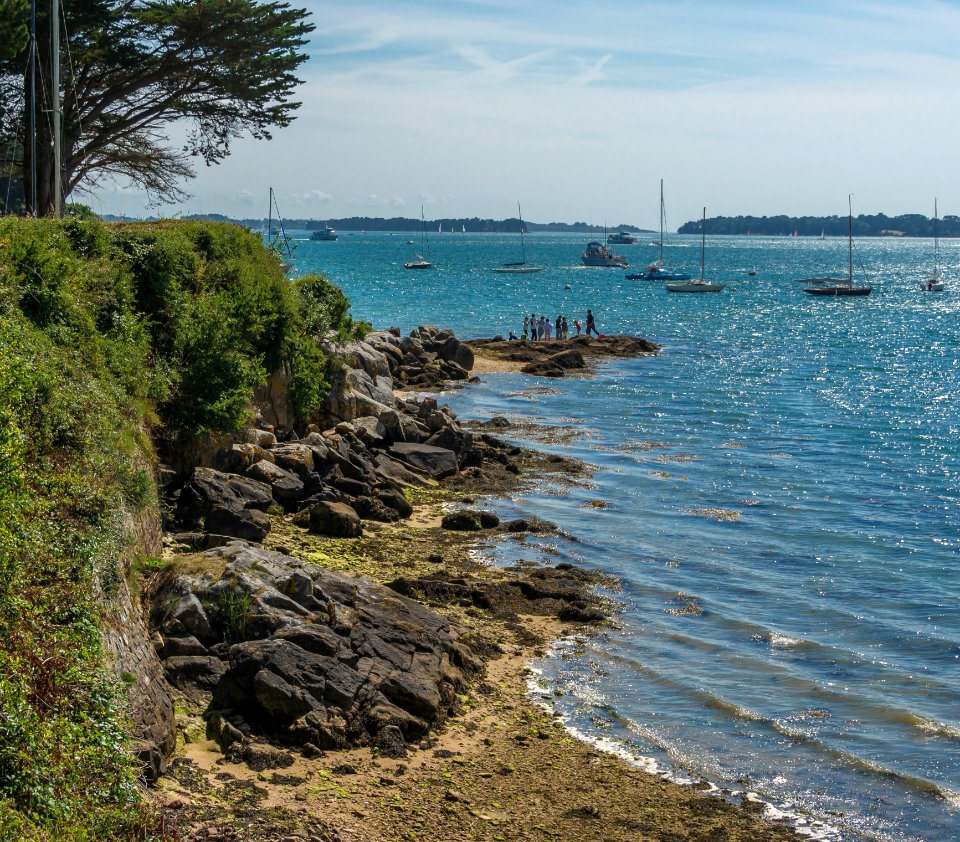 Île_aux_Moines_4,_Morbihan,_France
