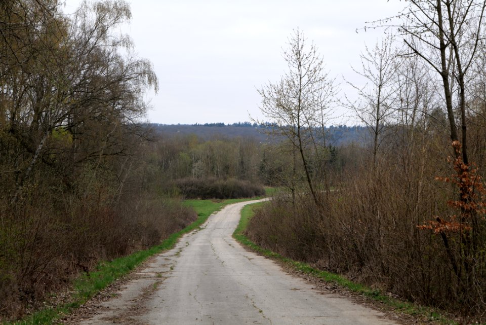 Übungsplatz_bei_Ockstadt_2021-04-02_63