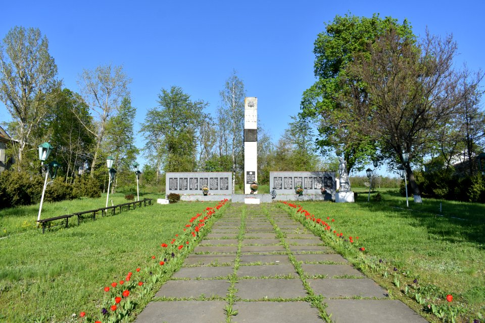 Бджільна_01