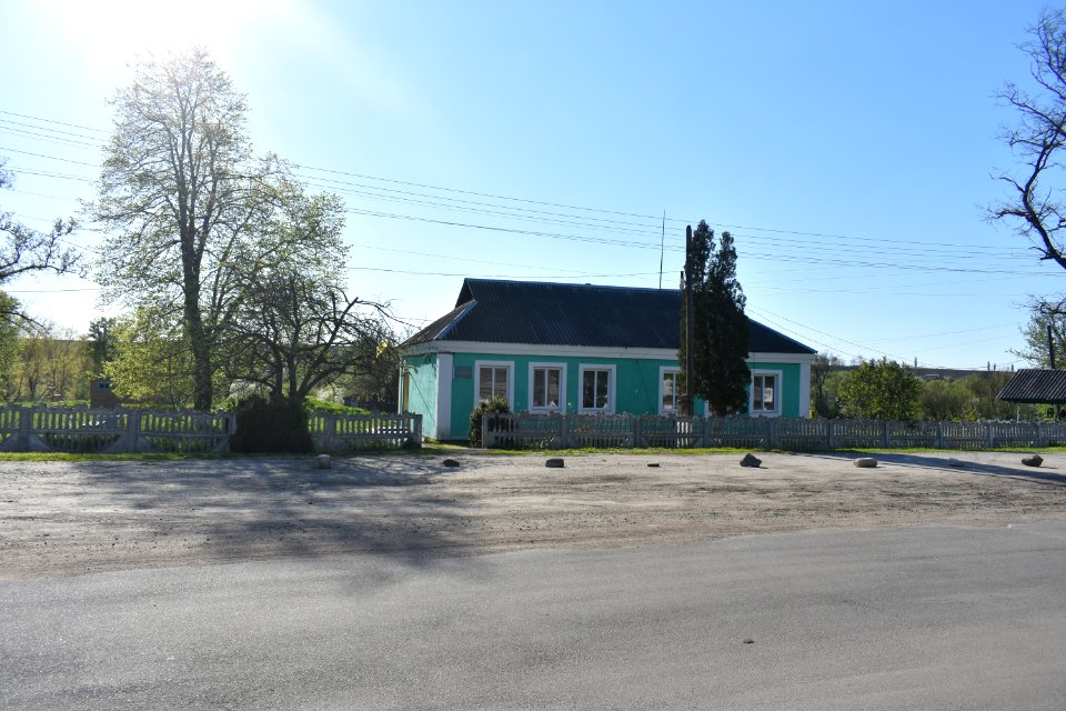 Бджільна_05