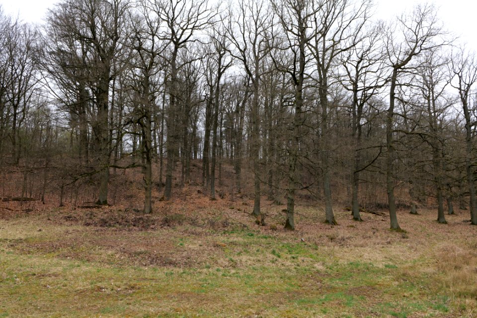 Übungsplatz_bei_Ockstadt_2021-04-02_10