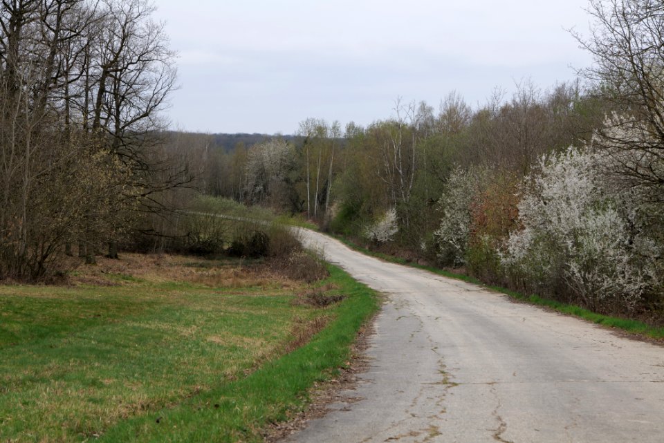 Übungsplatz_bei_Ockstadt_2021-04-02_05