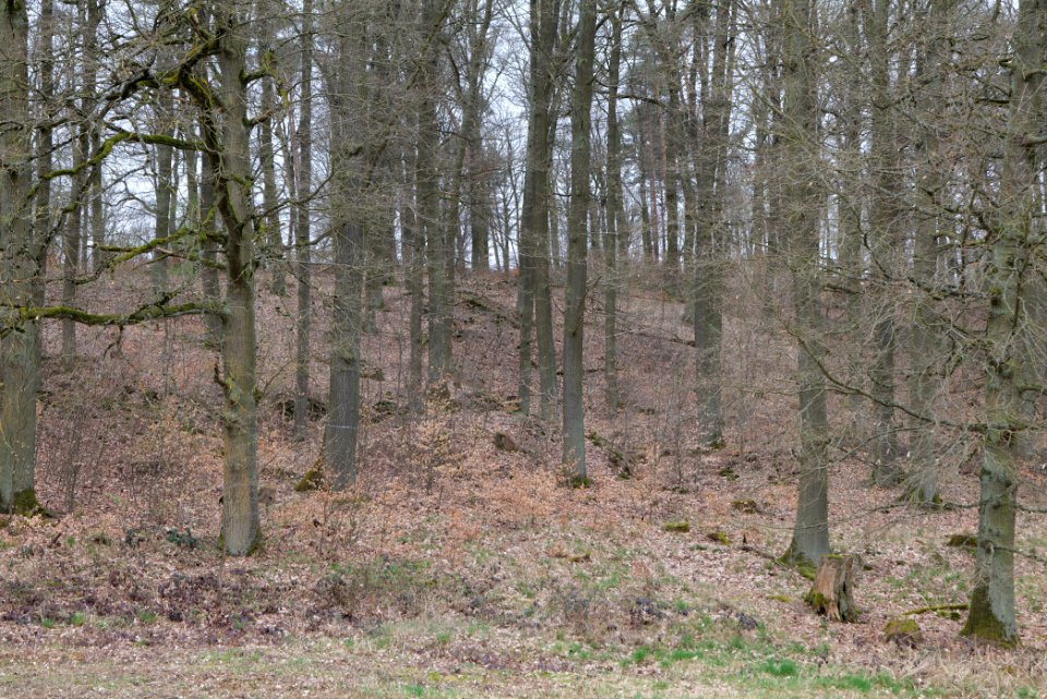 Übungsplatz_bei_Ockstadt_2021-04-02_11