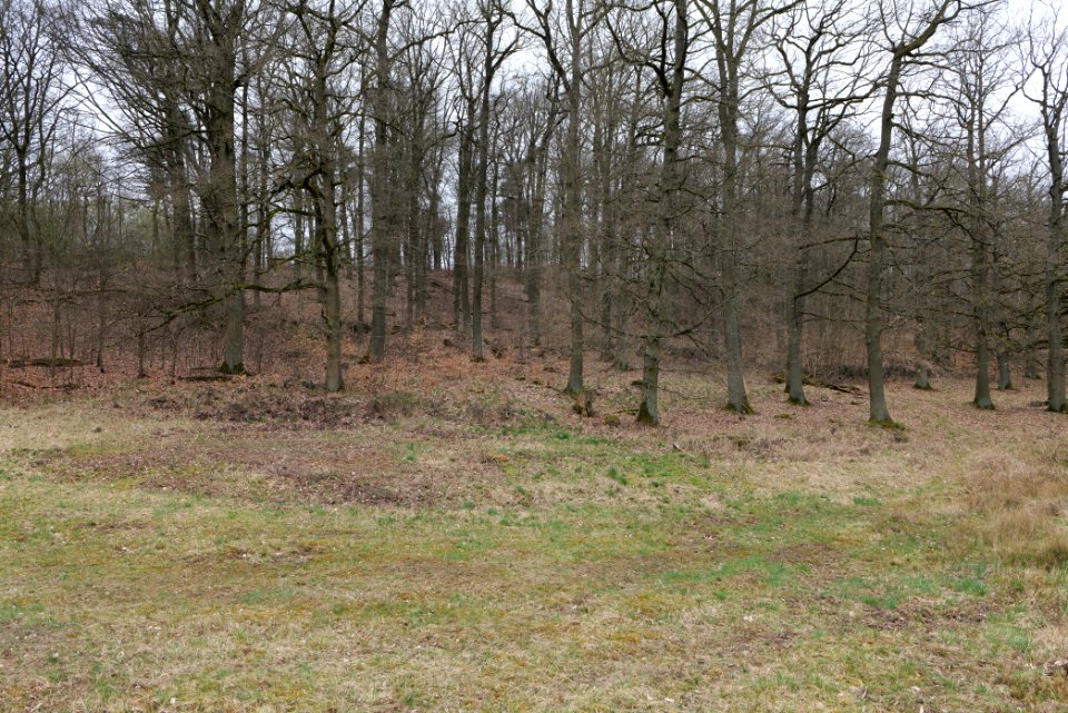 Übungsplatz_bei_Ockstadt_2021-04-02_09