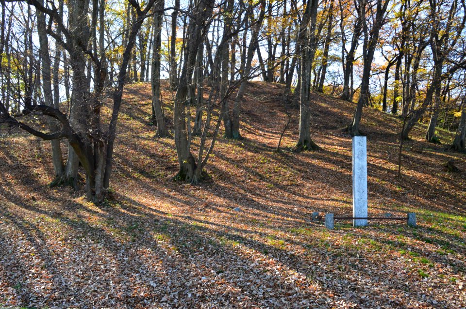 Ōtatenjinnyama-kofun_shoumen