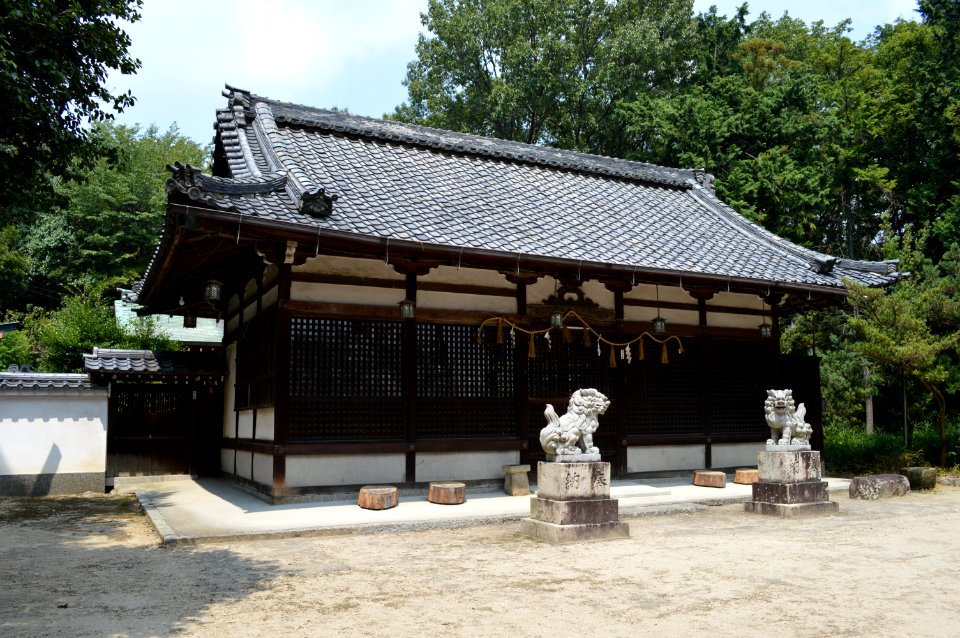 Ōta-jinja_(Ibaraki)_haiden