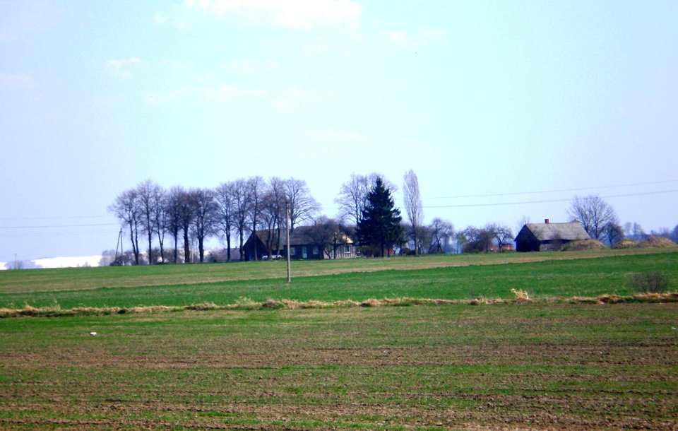 Šingaliai1
