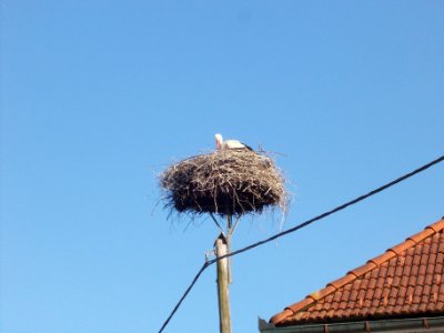 Škocjan,_Škocjan_04