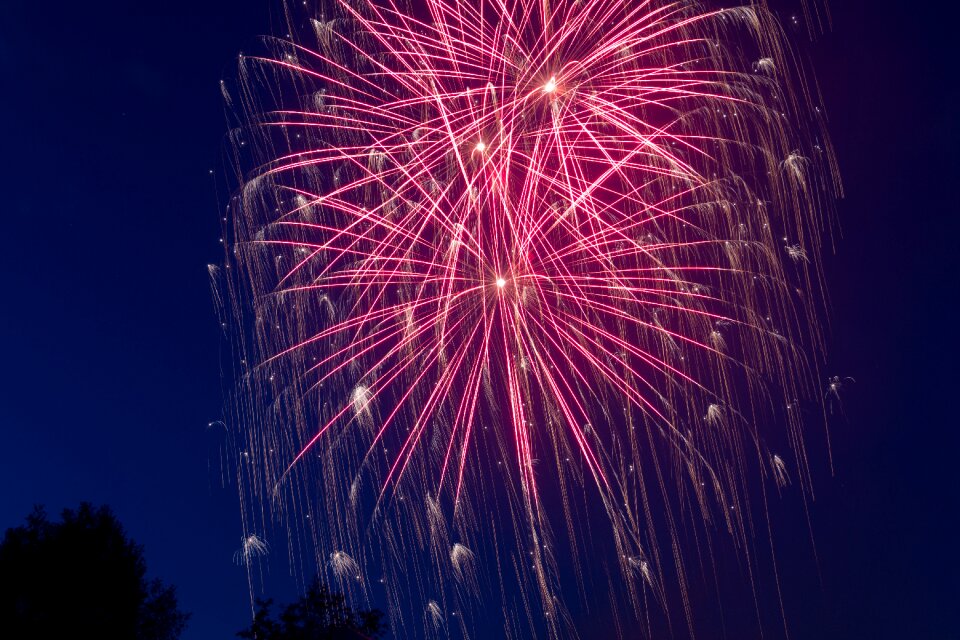 Pyrotechnics sylvester rocket photo