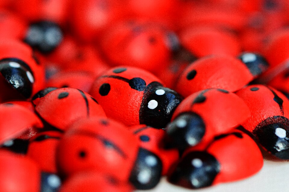Lucky charm points close up
