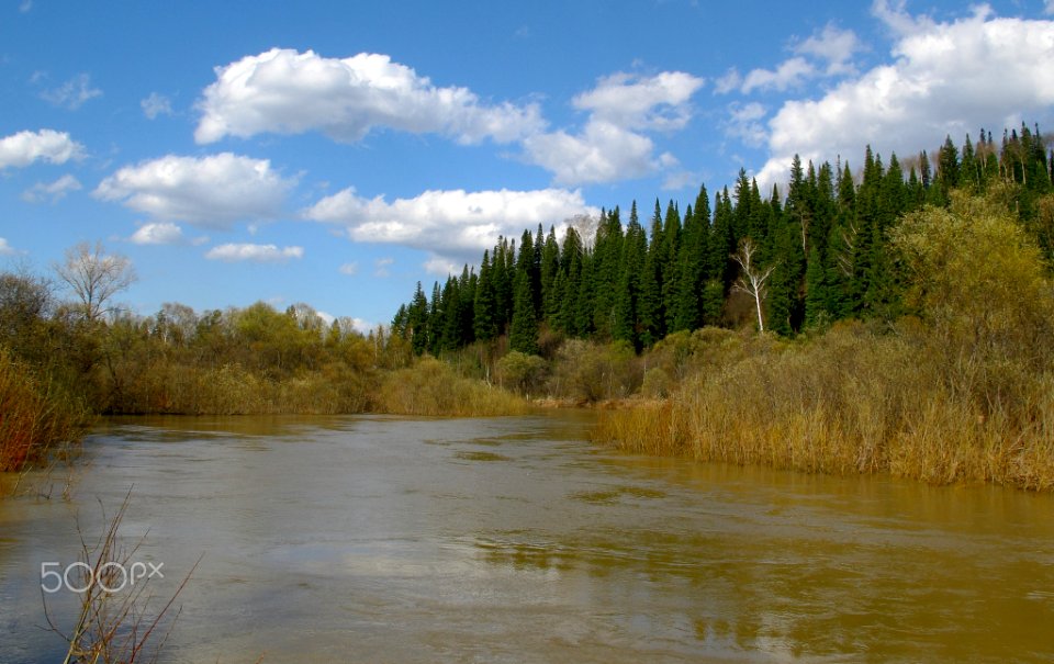 Весеннее_половодье_(250804319)
