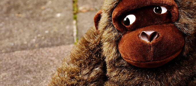 Stuffed animal soft toy cute