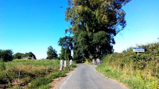 A_Cerdeira_Curtis_A_Coruña