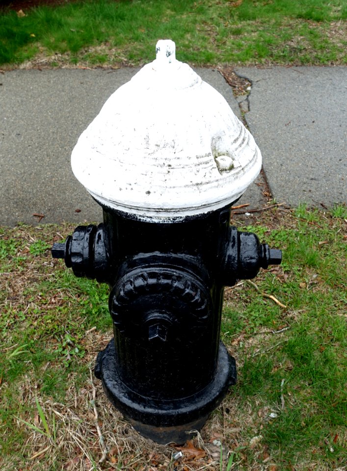 A.P._Smith_Mfg._Co._fire_hydrant_-_Arlington,_MA_-_DSC01025