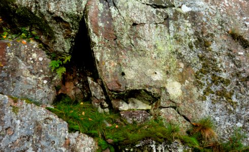 A_crack_in_the_granite_at_Govik_2 photo