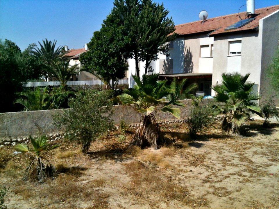 A_Cottage_in_Ramot_Alef_Beersheeba_Israel_IMG_4317
