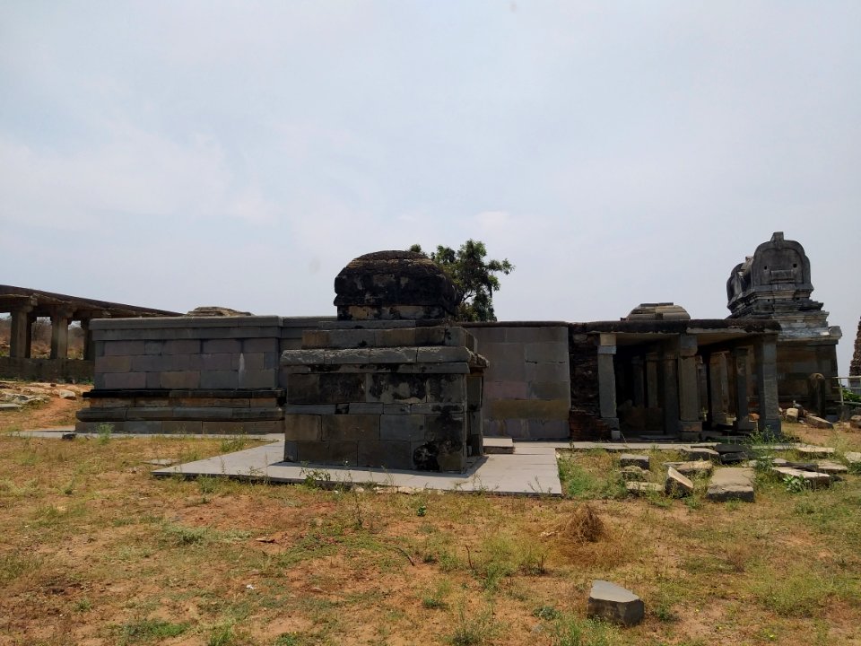 A_damaged_Hindu_temple_in_Pushpagiri_village,_near_Kadapa,_Andhra_Pradesh_4