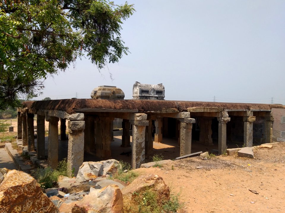A_damaged_Hindu_temple_in_Pushpagiri_village,_near_Kadapa,_Andhra_Pradesh