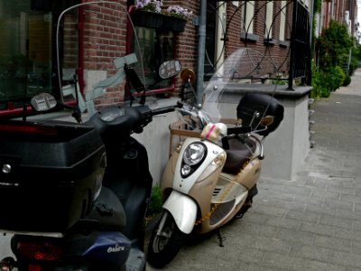 A_close-up_of_two_parked_mopeds_in_the_street_Hoogtekadijk,_Amsterdam-city;_high_resolution_image_by_FotoDutch,_June_2013 photo