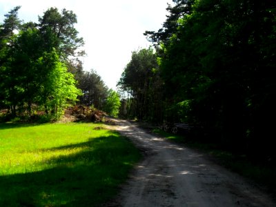 A_miseut_elokeszitese