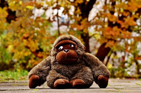 Stuffed animal soft toy cute