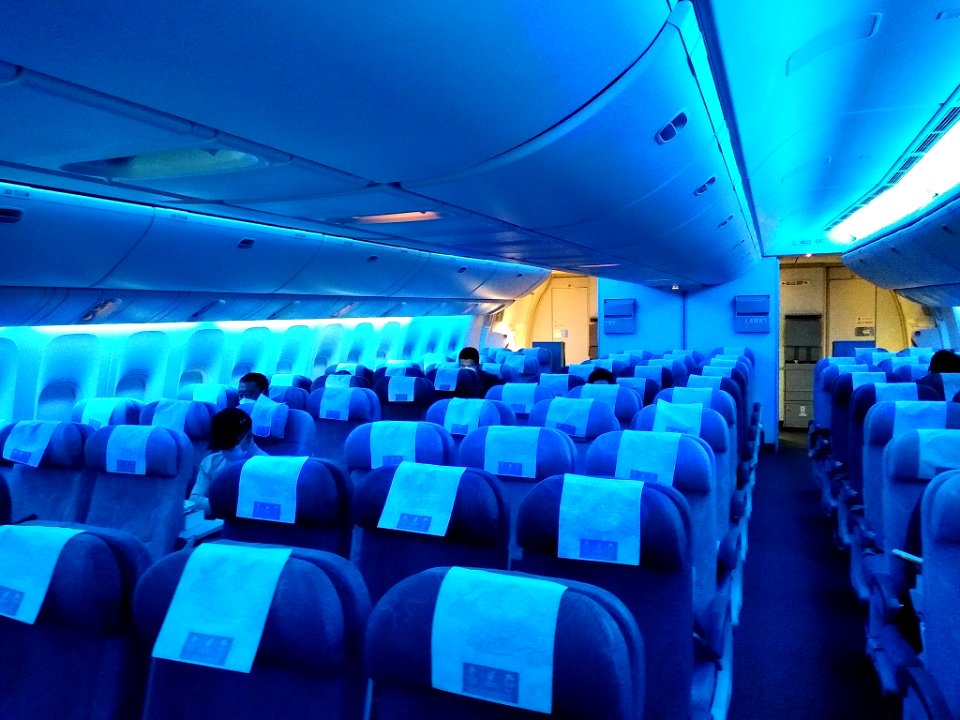 A_nearly_empty_flight_from_PEK_to_LAX_amid_the_COVID-19_pandemic_2