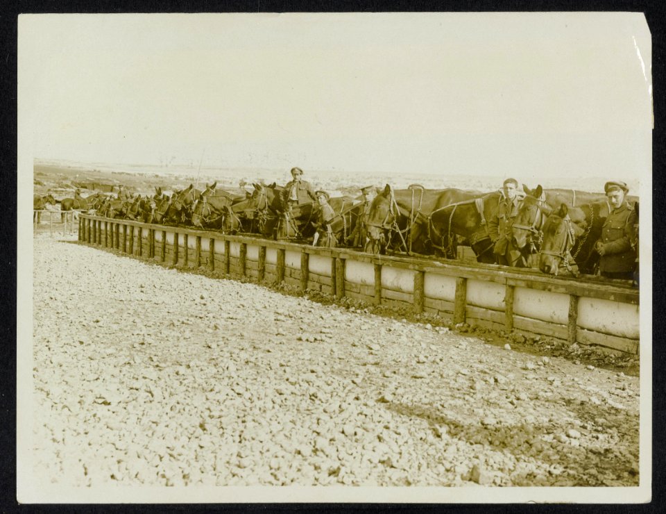 A_model_watering_place_for_horses_at_the_front,_Bestanddeelnr_158-1009
