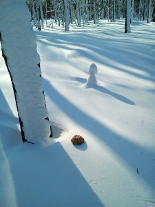 A_neopagan_offering_in_the_winter_forest._The_North-West_of_Sakhalin