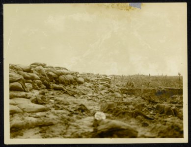 A_front_line_trench_with_barbed_wire_everywhere.,_Bestanddeelnr_158-1313