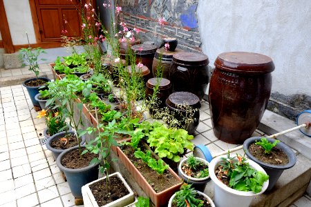 A_Garden_in_the_House_of_Lee_Sang-beom