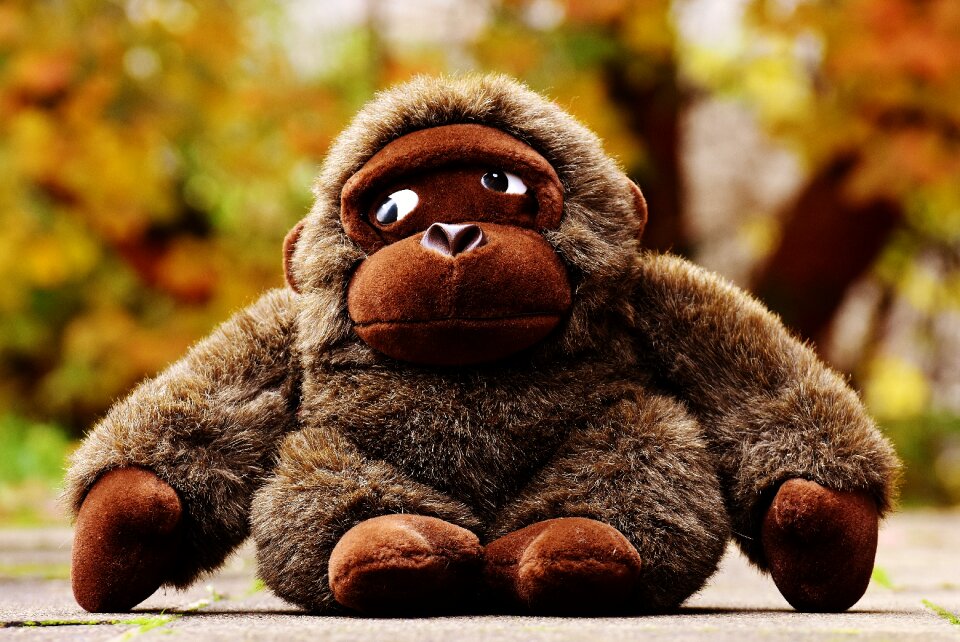 Stuffed animal soft toy cute